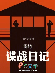 我的谍战日记